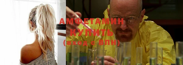 крисы Бронницы