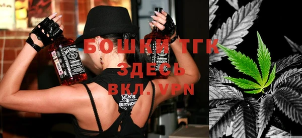 spice Каменка