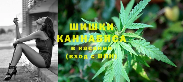 крисы Бронницы