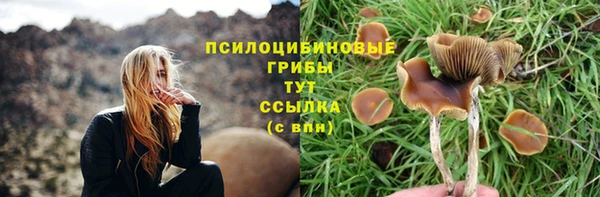 гидра Каменногорск