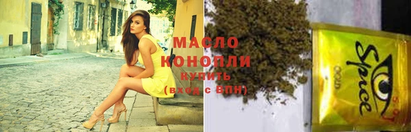 крисы Бронницы