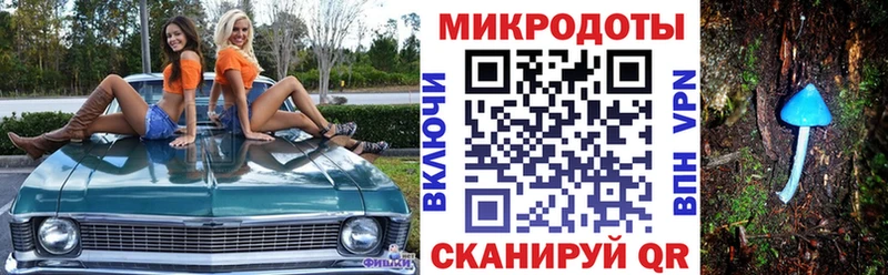 мега как зайти  Кола  Псилоцибиновые грибы мухоморы 